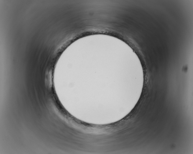 X0000115640020200912221319