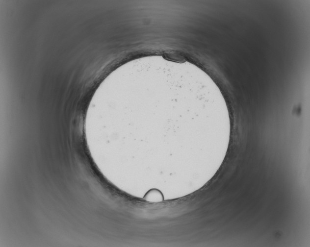 X0000115640021200912221319