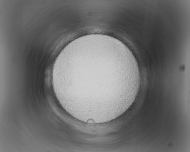 X0000115640022200912221319