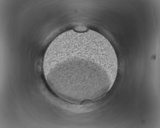 X0000115640023200912221319