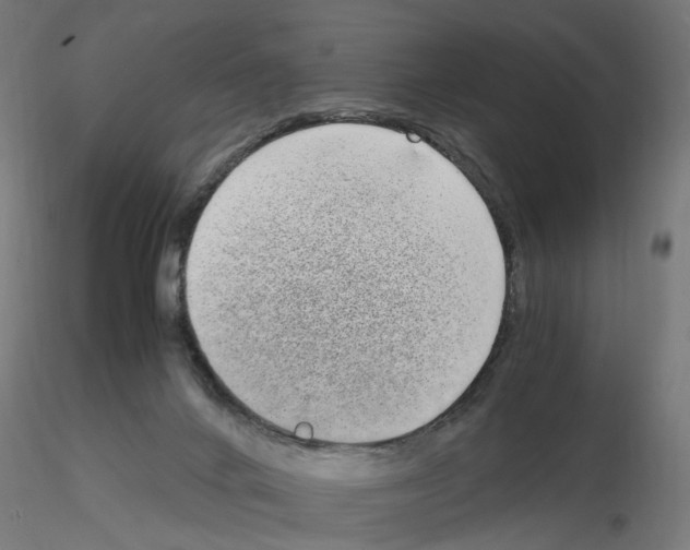 X0000115640024200912221319