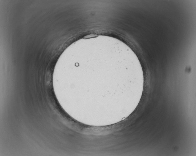X0000115640025200912221319