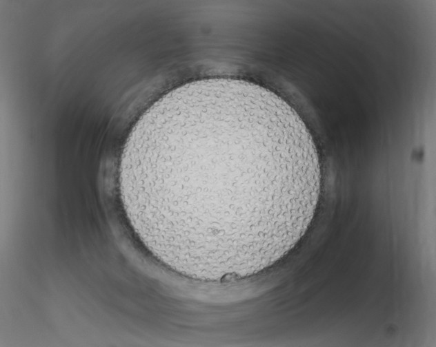 X0000115640026200912221319
