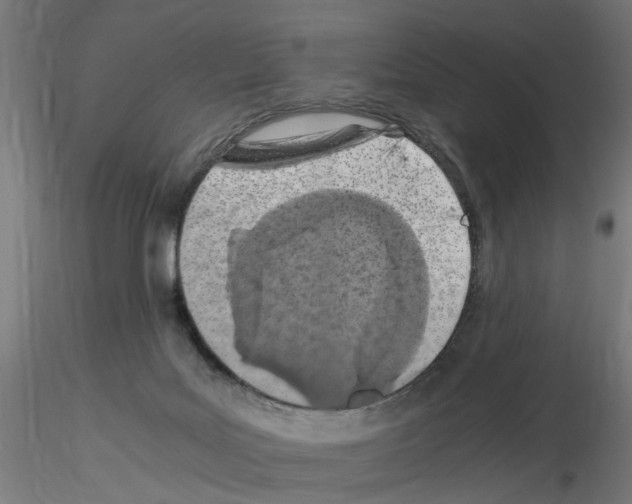 X0000115640027200912221319