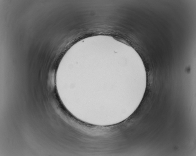 X0000115640028200912221319