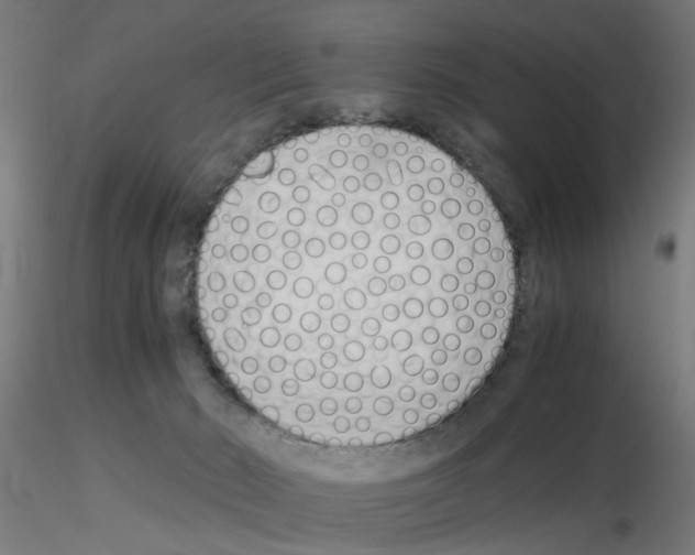 X0000115640030200912221319