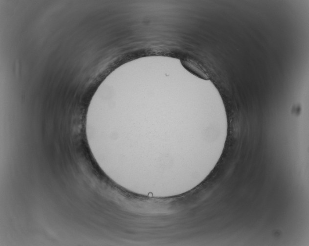 X0000115640032200912221319