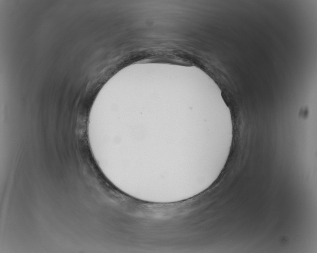 X0000115640033200912221319