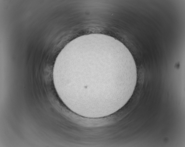 X0000115640034200912221319