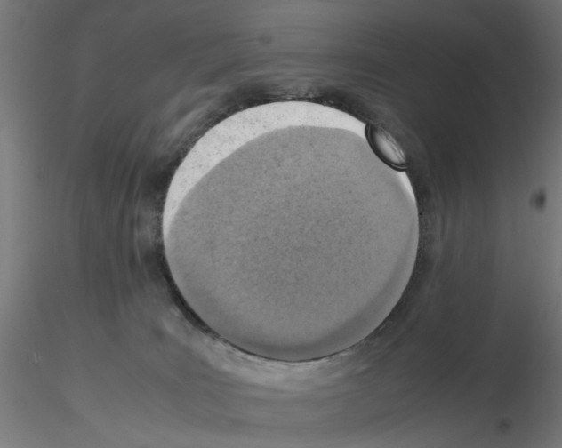 X0000115640035200912221319