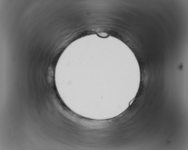 X0000115640036200912221319