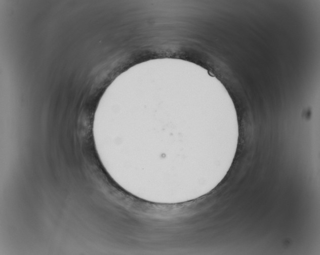 X0000115640037200912221319