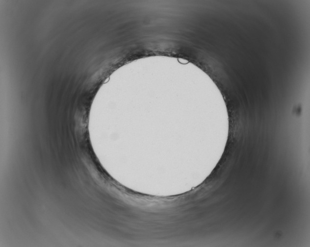 X0000115640040200912221319
