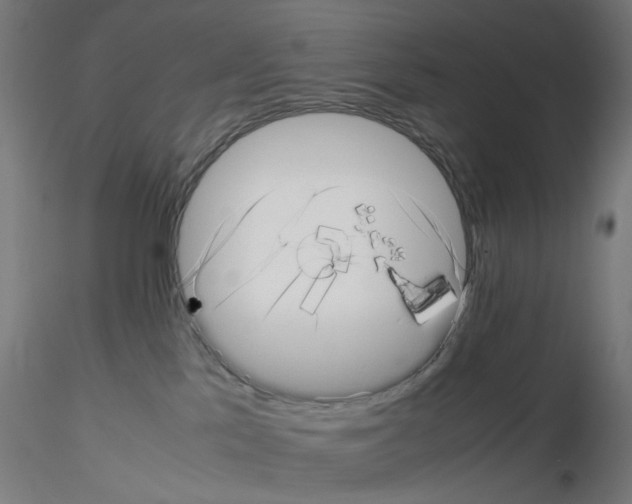 X0000115640041200912221319
