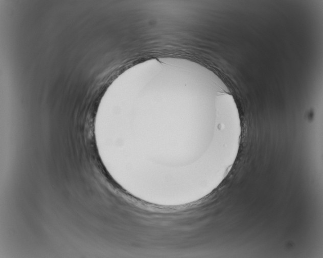 X0000115640043200912221319