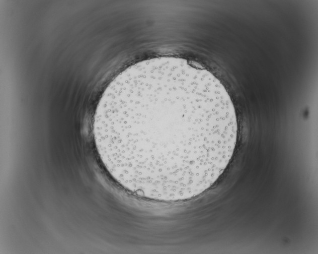 X0000115640044200912221319