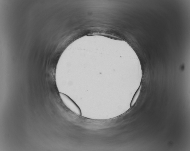 X0000115640045200912221319