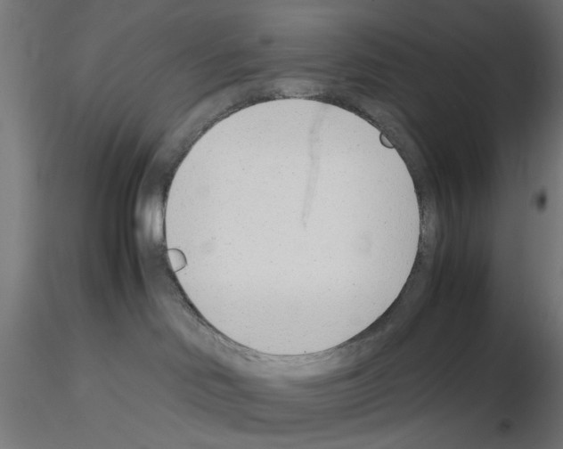 X0000115640046200912221319