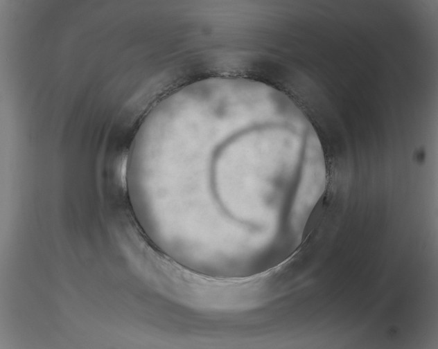 X0000115640047200912221319