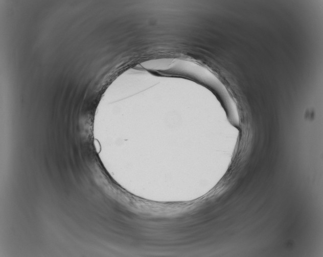 X0000115640048200912221319