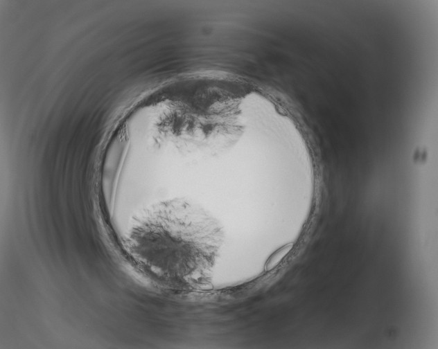 X0000115640049200912221318
