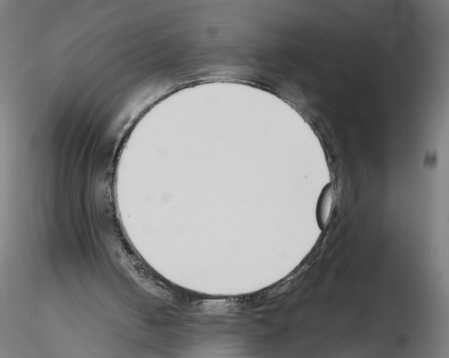 X0000115640050200912221318