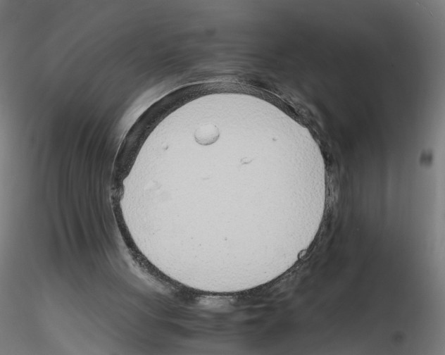 X0000115640051200912221318