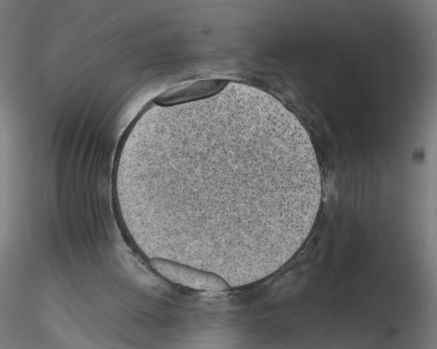 X0000115640052200912221318