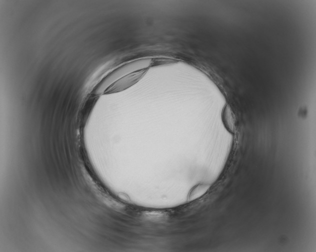 X0000115640053200912221318