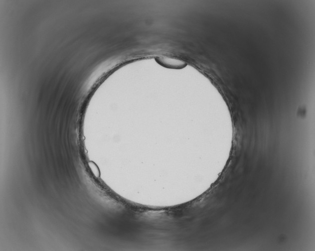 X0000115640054200912221318