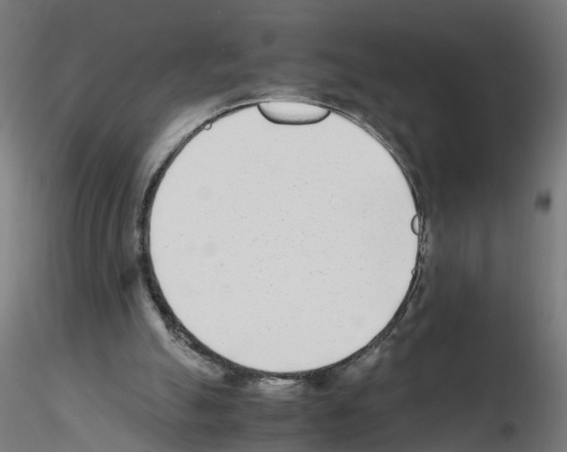 X0000115640055200912221318