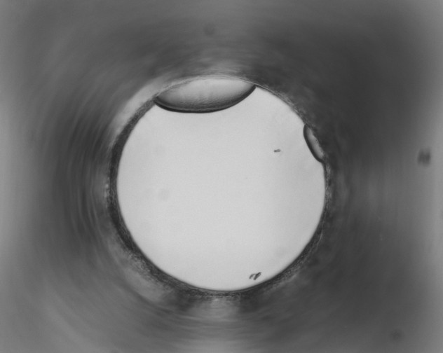X0000115640056200912221318