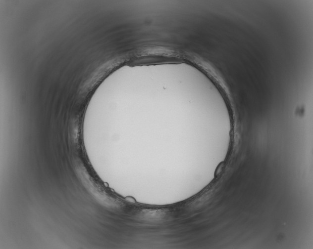 X0000115640057200912221318