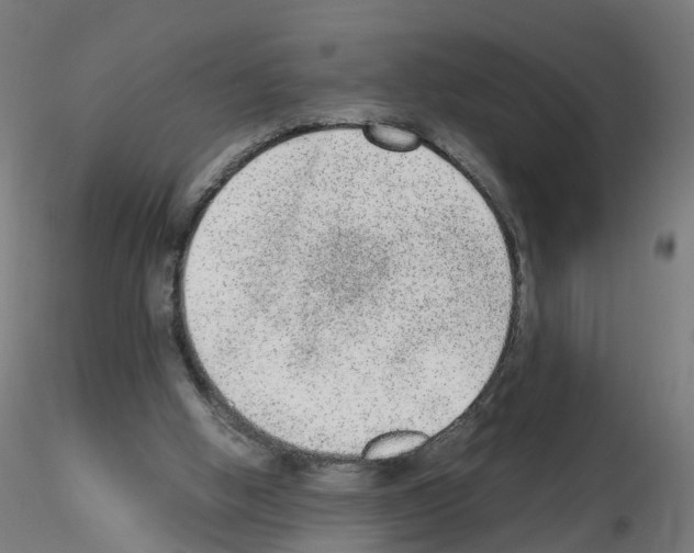 X0000115640058200912221319
