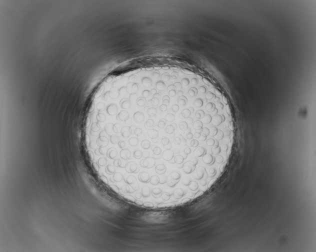 X0000115640059200912221319