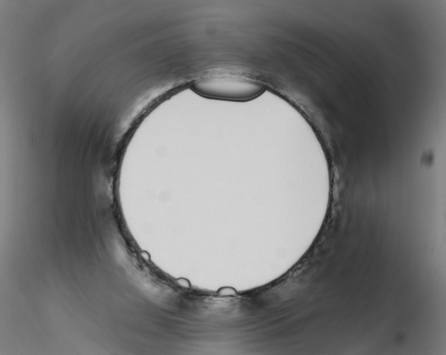 X0000115640060200912221319
