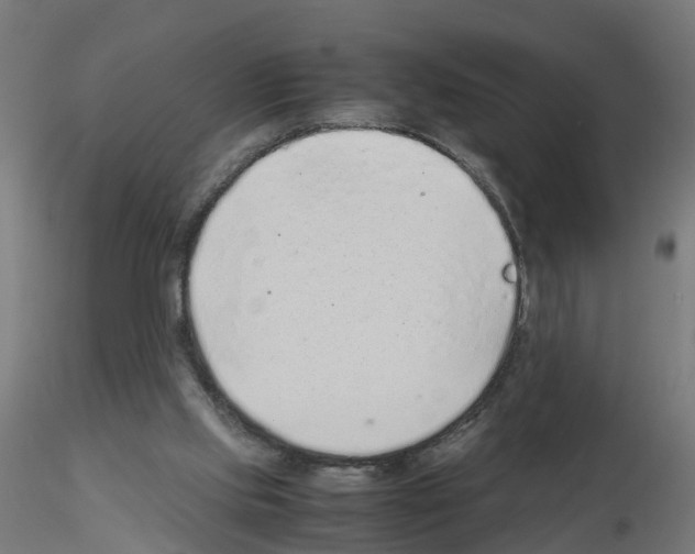 X0000115640061200912221319