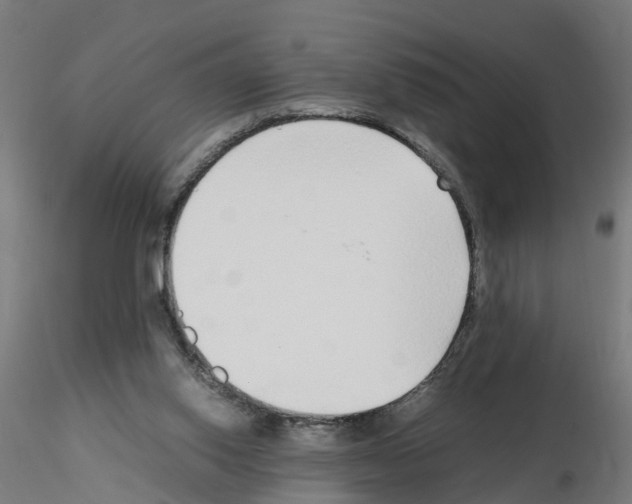 X0000115640062200912221319