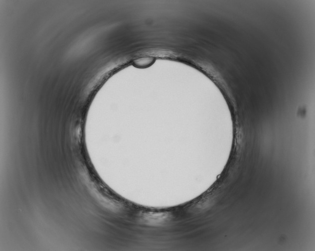 X0000115640063200912221319