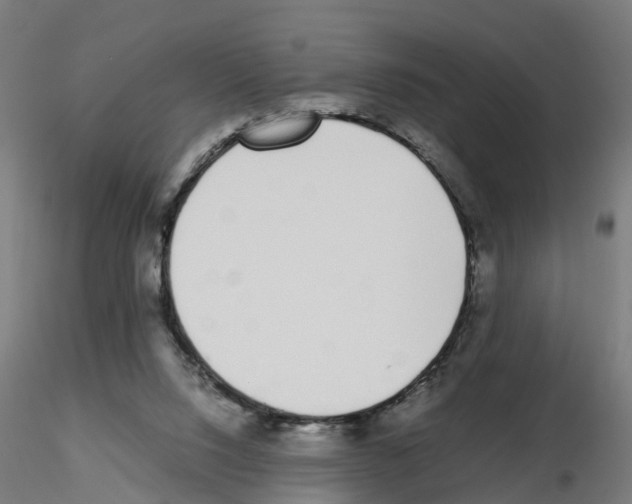 X0000115640064200912221319