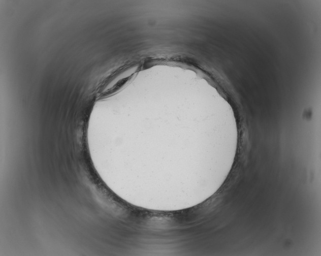 X0000115640066200912221319