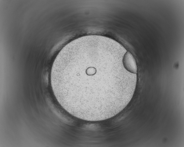 X0000115640067200912221319
