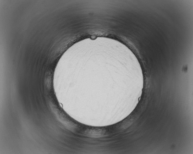 X0000115640069200912221319