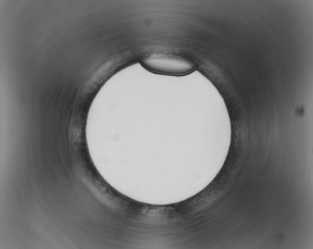 X0000115640072200912221319