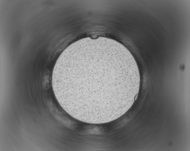 X0000115640073200912221319