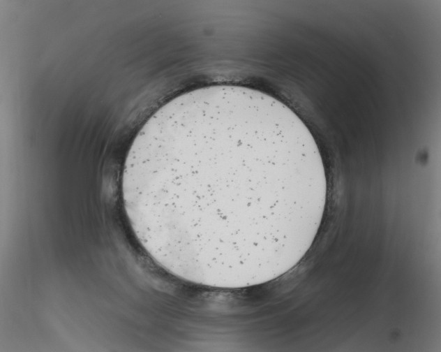 X0000115640074200912221319