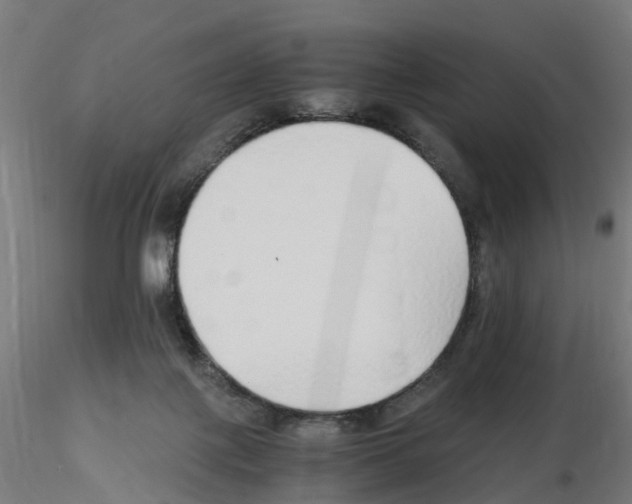 X0000115640075200912221319