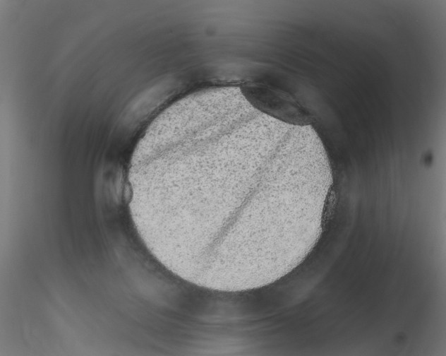 X0000115640076200912221319