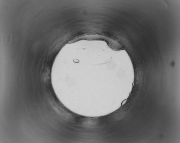 X0000115640077200912221319