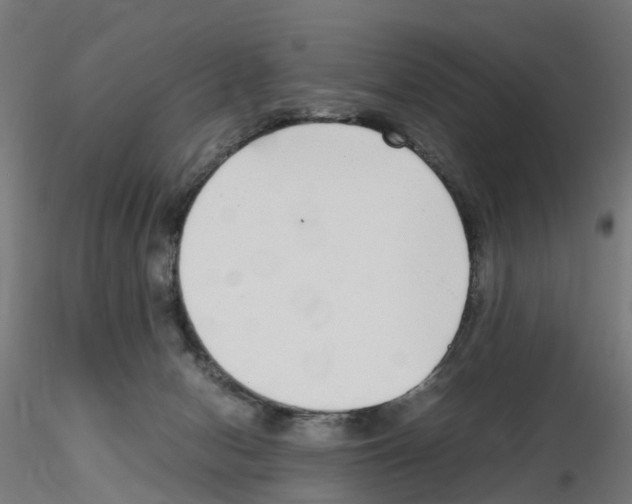 X0000115640078200912221319